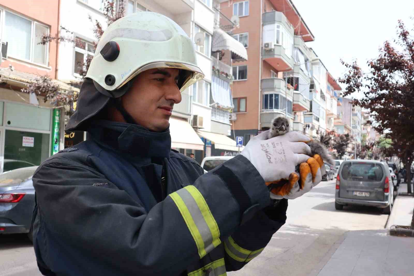 YALOVA’DA ÇATIDAN DÜŞEN YAVRU MARTIYI İTFAİYE KURTARDI
